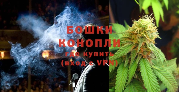 Альфа ПВП Пересвет