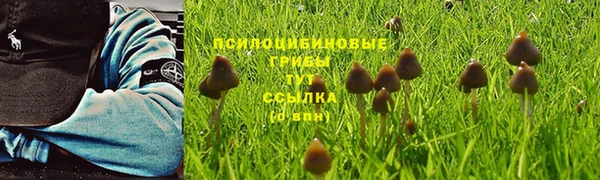 стафф Вяземский