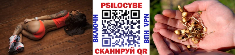 Галлюциногенные грибы GOLDEN TEACHER  Рославль 