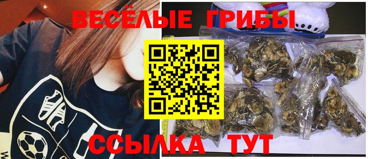Рославль  Псилоцибиновые грибы Psilocybine cubensis  Псилоцибиновые грибы MAGIC MUSHROOMS  Вход с VPN 